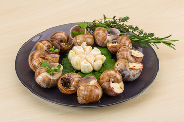 Escargot