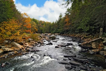  River in Wilderness in Autumn © flownaksala