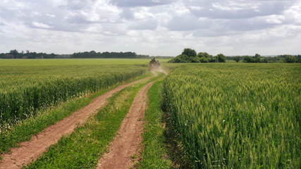 Wooden cart rides on the spring farm road along the field