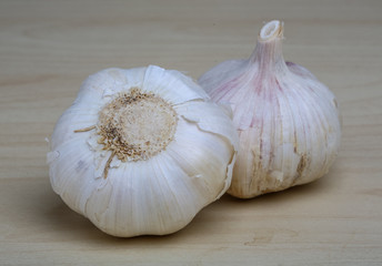 Garlic