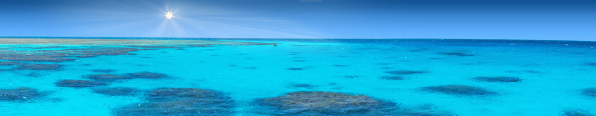 Plakaty  Krystalicznie czysta błękitna koralowa woda Morza Czerwonego