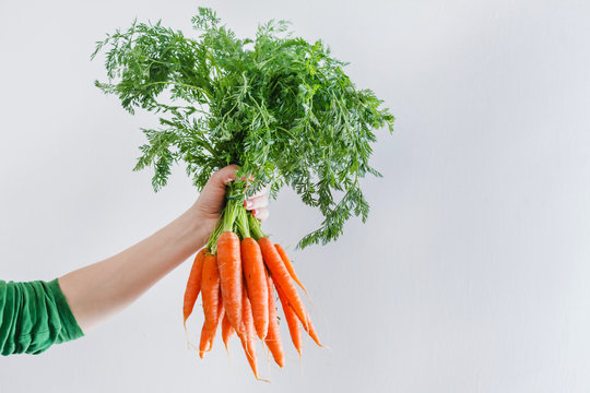 Fresh Carrots