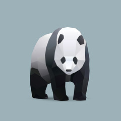Fototapeta premium panda