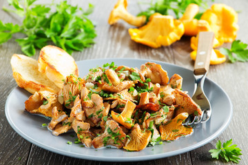 Fried chanterelle mushrooms in a creamy sauce