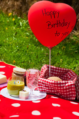 birthday picnic - Picknick zum Geburtstag