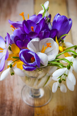 Bunch of spring flowers. Crocus and Snowdrops on the wooden back
