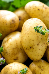 Fresh young potatoes on a wooden background with herbs
