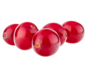 cranberry  isolated on white background cutout