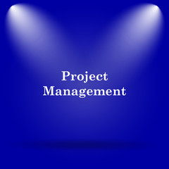 Project management icon