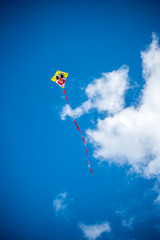 Kite /flying kite on the blue sky 