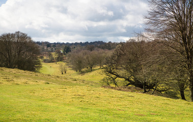  English spring forest forest
