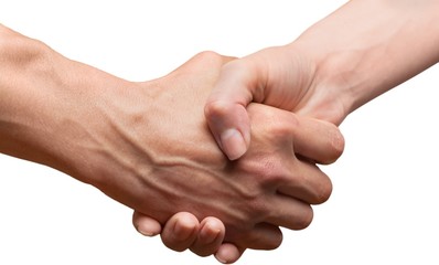 Handshake, Holding Hands, Human Hand.