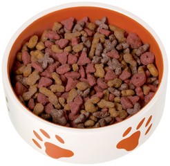 Dog Bowl, Dog Food, Pet Food.