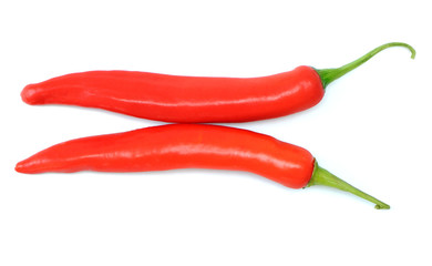 chili pepper isolated on a white background