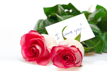 Rose, Pink, I Love You.