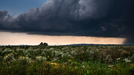 lightning storm over a summer field