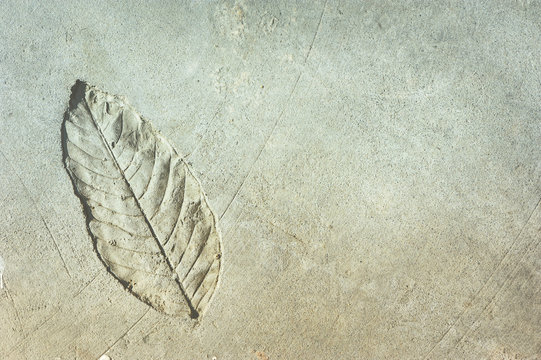 leaf pattern on concrete background