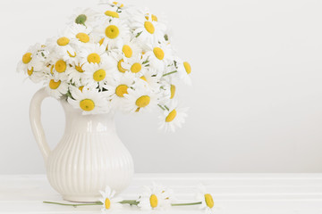 bouquet of daisies on white background