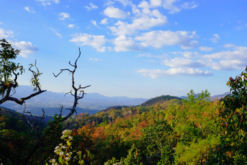 Beauty scene of nature on countryside