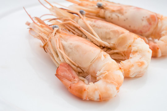 Close up of shrimps in white plate