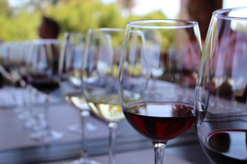Cata de vinos chilenos