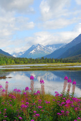 Alaskan Mountain & Lake Landscape