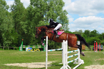 saut d'obstacles