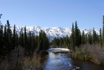 Wild Alaskan river