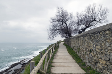 lonely road