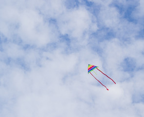 Naklejka na ściany i meble kite flying in the wind
