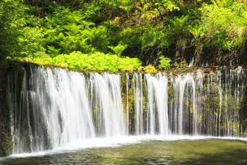 Karuizawa Shiraito Waterfall, Nagano, Japan