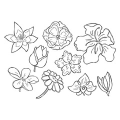set of flower doodle