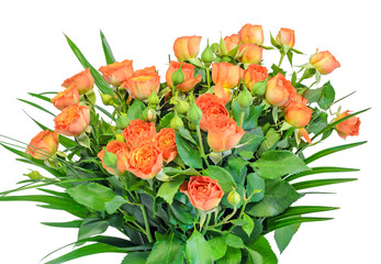 Orange roses flowers, close up, bouquet
