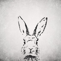 Fototapeta premium silhouette rabbit backround