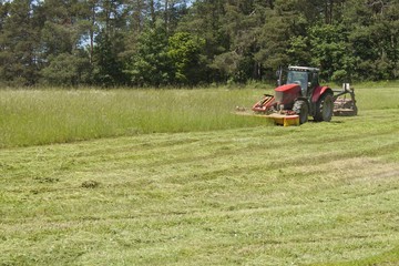 Summer day, red tractor mows the lawn.