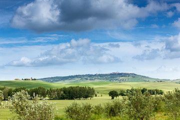 Spring landscape of fields Tuscany