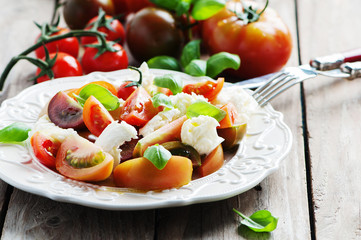 Traditional italian antipasto caprese with mozzarella