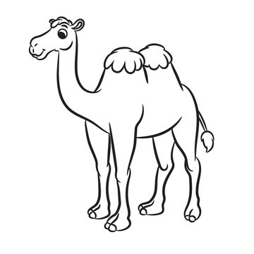 Cartoon illustration of cute camel outlined. Vector illustration.
