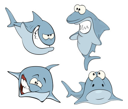 Set of cute sharks for you design. Cartoon