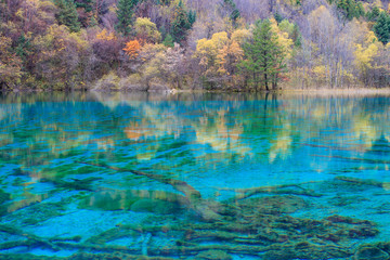 wonderful blue water lake in Jiuzhaigou national park, china