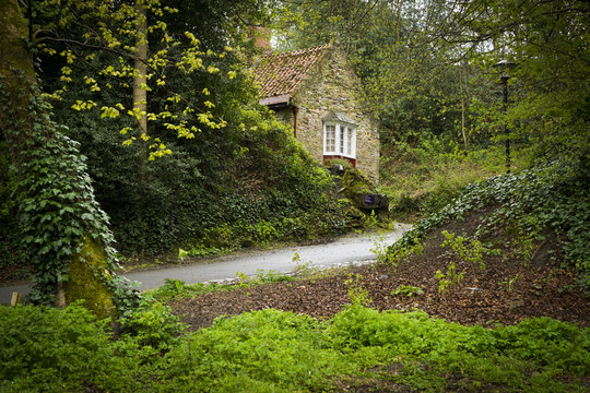 Casa en un bosque de Durham