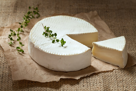 Sliced camembert cheese, creamy round traditional organic