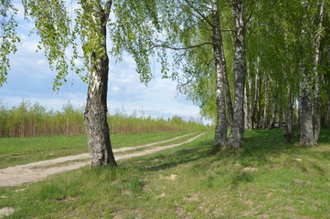 Obraz premium Весна на брянской земле