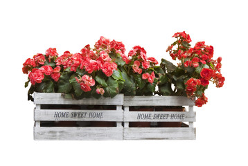 Home sweet home written on wooden box with colored flowers