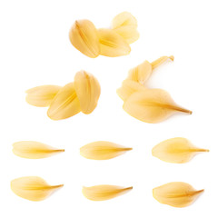 Naklejka premium Yellow royal trinity lily petal leaves isolated