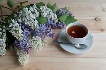 lilac branch on the table
