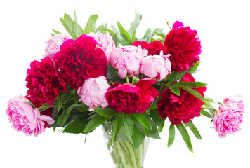 pink and red  peonies