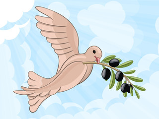 Pigeon with olive branch