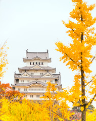 Naklejka premium Himeji Castle, Japan.