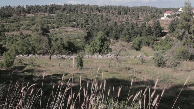 View of a village in Galilee heights